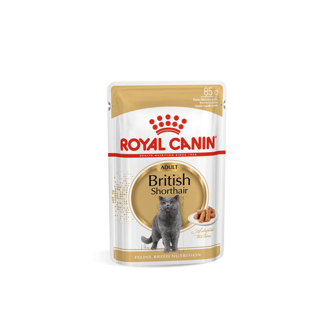 British shorthair 2025 wet food